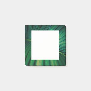 Green Leaf Tropical Forest Nature Photo Post-it Notes