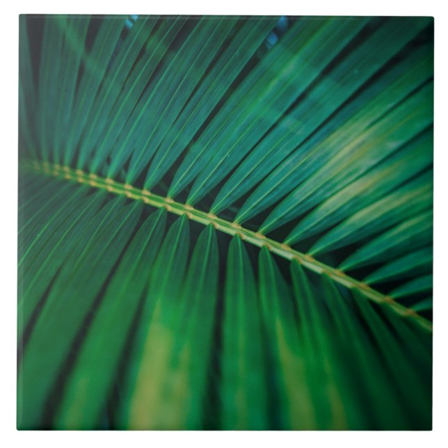 Green Leaf Tropical Forest Nature Photo Tile (Front)