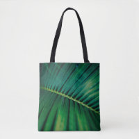 Green Leaf Tropical Forest Nature Photo