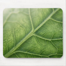 Green Leaf Veins Macro Nature Mouse Pad
