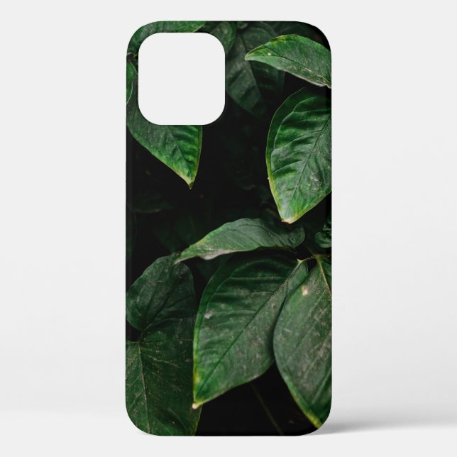 GREEN-LEAFED PLANT ON FOCUS PHOTOGRAPHY Case-Mate iPhone CASE (Back)