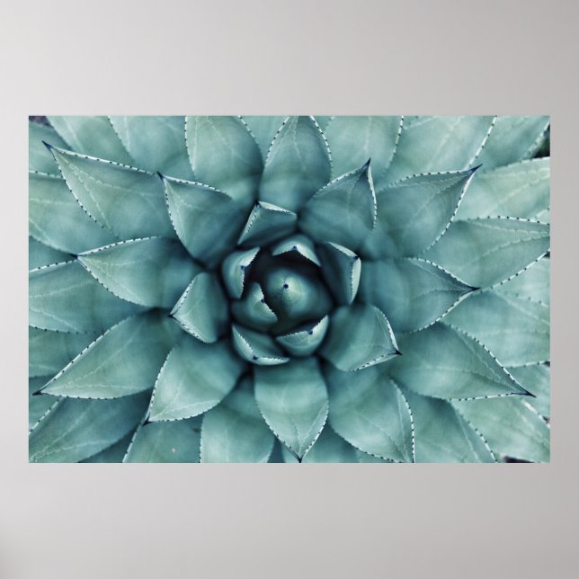 Green leafed plant poster (Front)