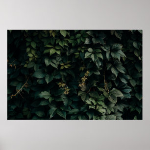 GREEN LEAFED PLANT POSTER