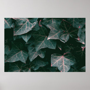 GREEN-LEAFED PLANT POSTER