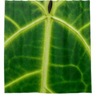 Green-leafed plant shower curtain