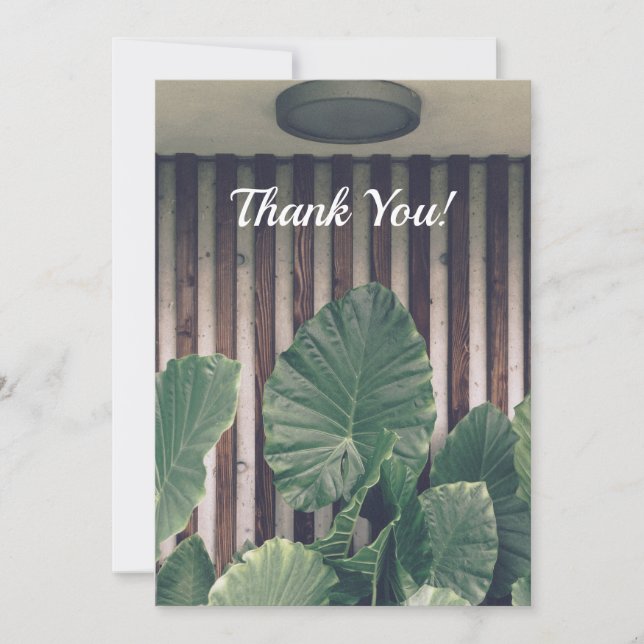 Green Leafy Plant Thank You Card (Front)