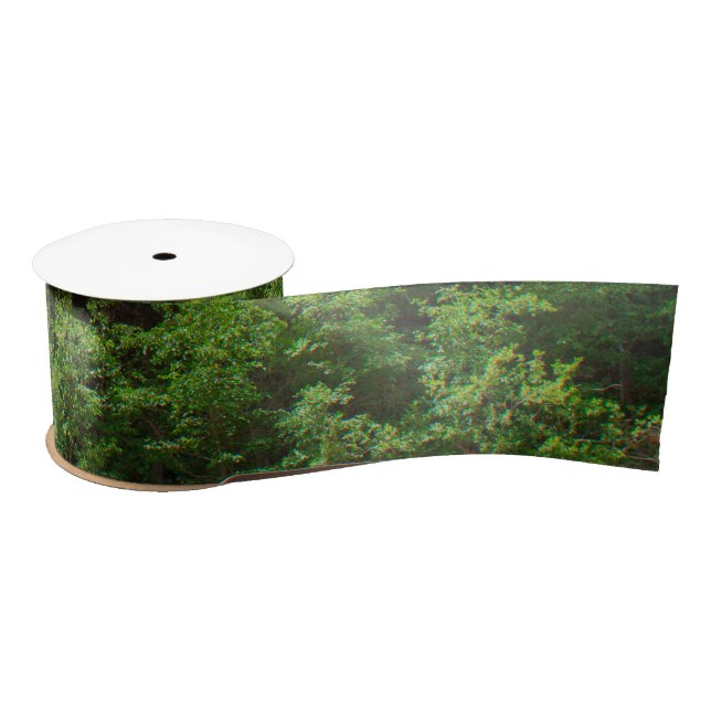 Green Leafy Trees Colorado Moffat Road Satin Ribbon (Spool)
