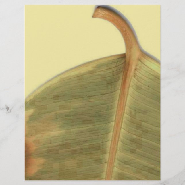 Green Leave Flyer (Front)