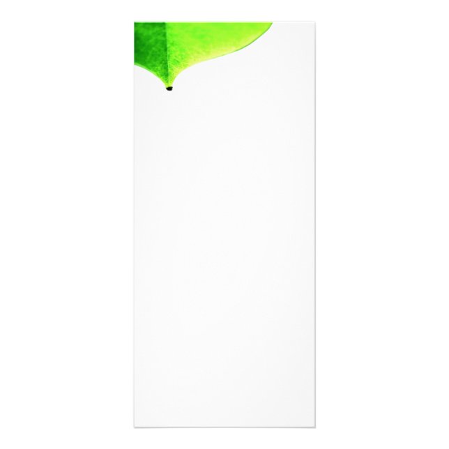Green Leave Rack Card (Front)