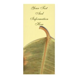Green Leave Rack Card