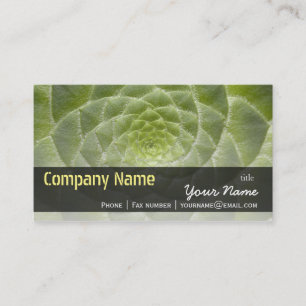 Green Leaves Aeonium Tabuliforme Business Template Business Card