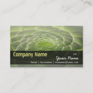 Green Leaves Aeonium Tabuliforme Business Template Business Card
