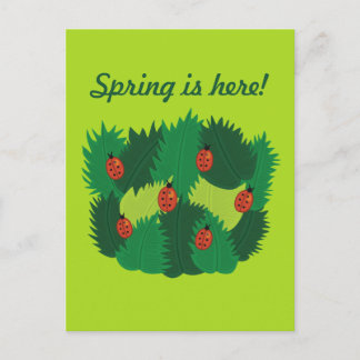 Green Leaves And Ladybugs Spring Is Here Postcard