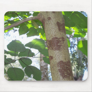 green leaves and tree trunk with cool bark mouse mat