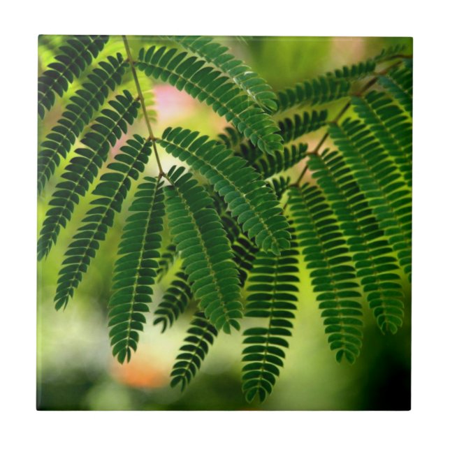 Green Leaves Ceramic Tile (Front)