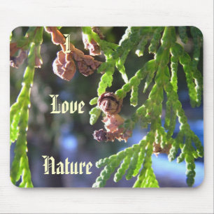 green leaves, cypress, seeds mouse mat