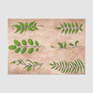 Green leaves foliage plants distressed faded sepia tissue paper