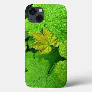 Green Leaves Ipad Air Case