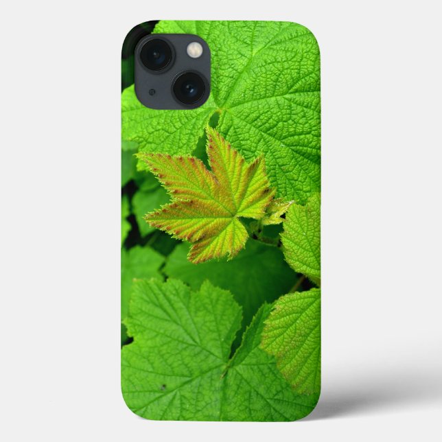 Green Leaves Ipad Air Case (Back)