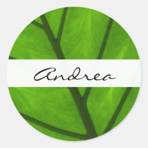 Green Leaves, Leaf Background, Leaf, Your Name Classic Round Sticker