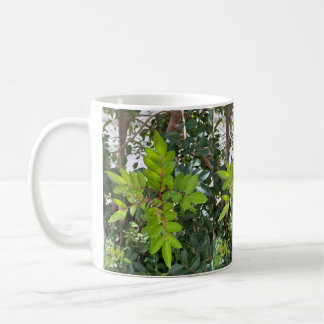 Green Leaves Mug – Botanical Photo from Tenerife