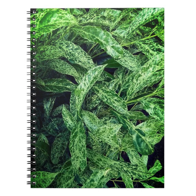 Green leaves notebook (Front)