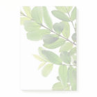Green Leaves On A White Background