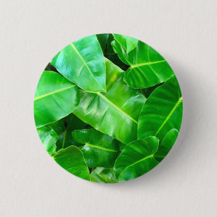 Green leaves Palm Leaf tropical foliage jungle  6 Cm Round Badge
