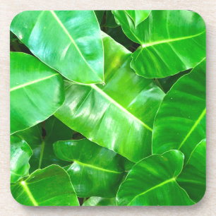 Green leaves Palm Leaf tropical foliage jungle  Coaster