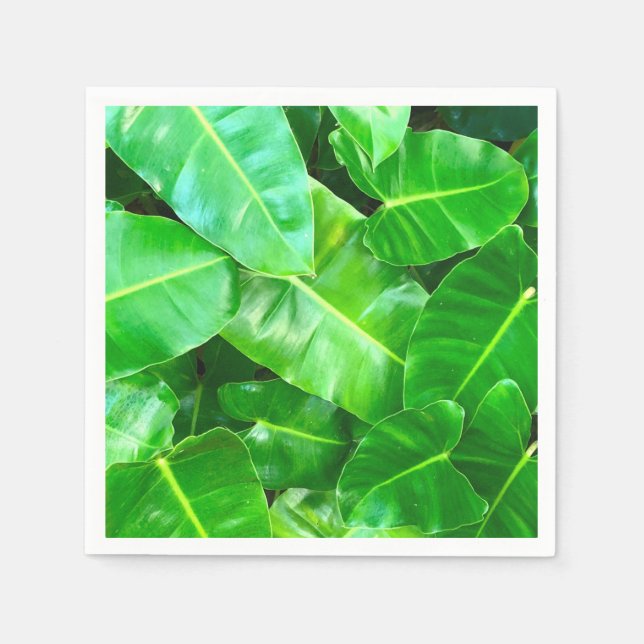 Green leaves Palm Leaf tropical foliage jungle  Napkin (Front)