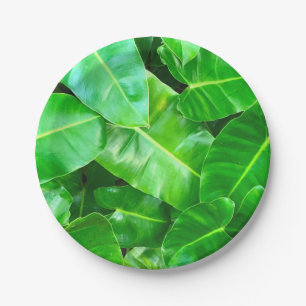 Green leaves Palm Leaf tropical foliage jungle  Paper Plate