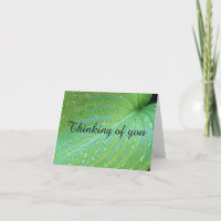 Green Leaves Photography Thinking Of You