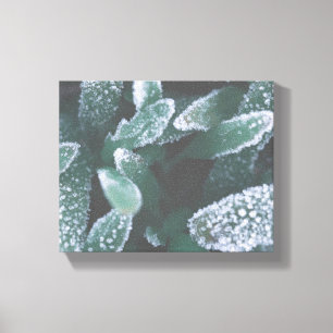 Green Leaves Plant Grass Frozen Frost Canvas Print
