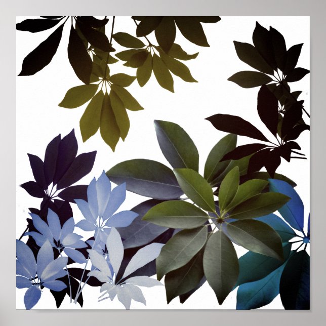 Green Leaves Print, Value Poster Paper (Front)