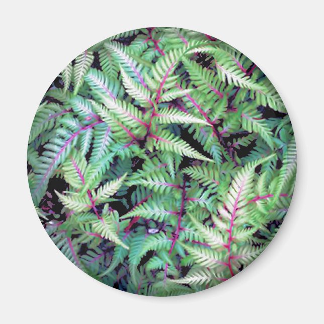 GREEN LEAVES, PURPLE STEMS by SHARON SHARPE mug Magnet (Front)