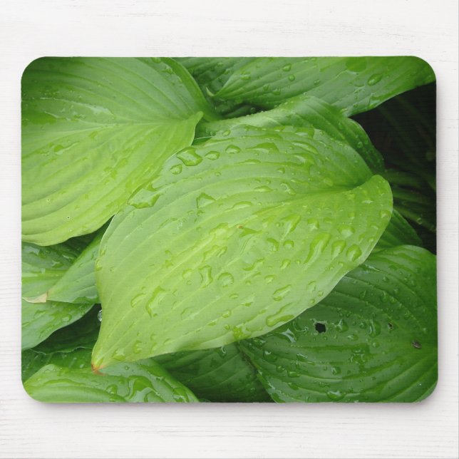 green leaves, rain drops mouse mat (Front)