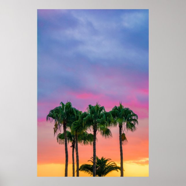 Green leaves tree under blue sky during golden hou poster (Front)