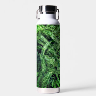 Green leaves water bottle