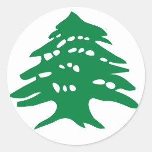 Green Lebanon Cedar Tree Classic Round Sticker