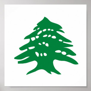 Green Lebanon Cedar Tree Poster