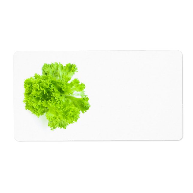 Green lettuce (Front)