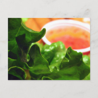 Green Lettuce Leaf Photo Postcards