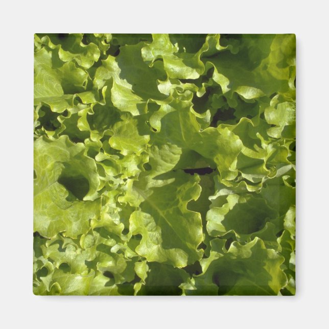 Green lettuce magnet (Front)