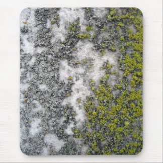 Green lichen on granite mouse mat