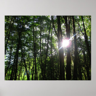 Green Light.. Poster