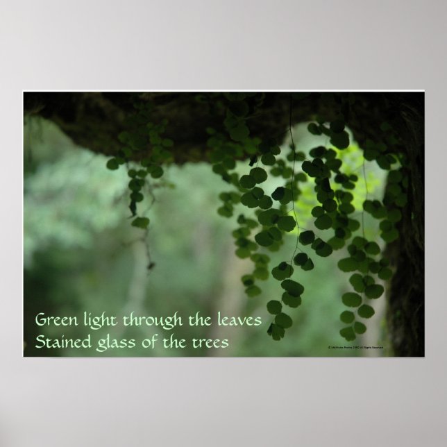 Green light through leaves - Poster with Quote (Front)