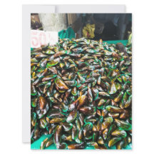 Green Lipped Mussels For Sale