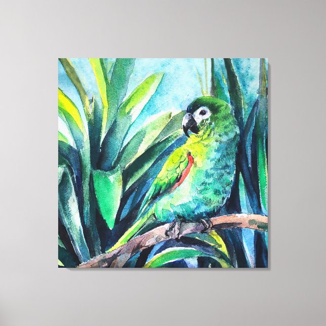 Green Little macaw Canvas Print (Front)