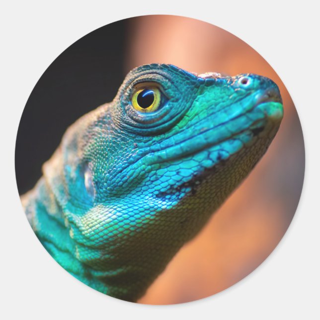 Green lizard classic round sticker (Front)