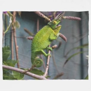 GREEN LIZARD FLEECE BLANKET